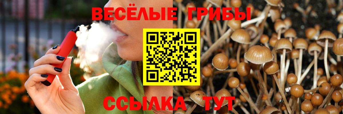 Галлюциногенные грибы Cubensis  Вход с VPN  Полысаево 